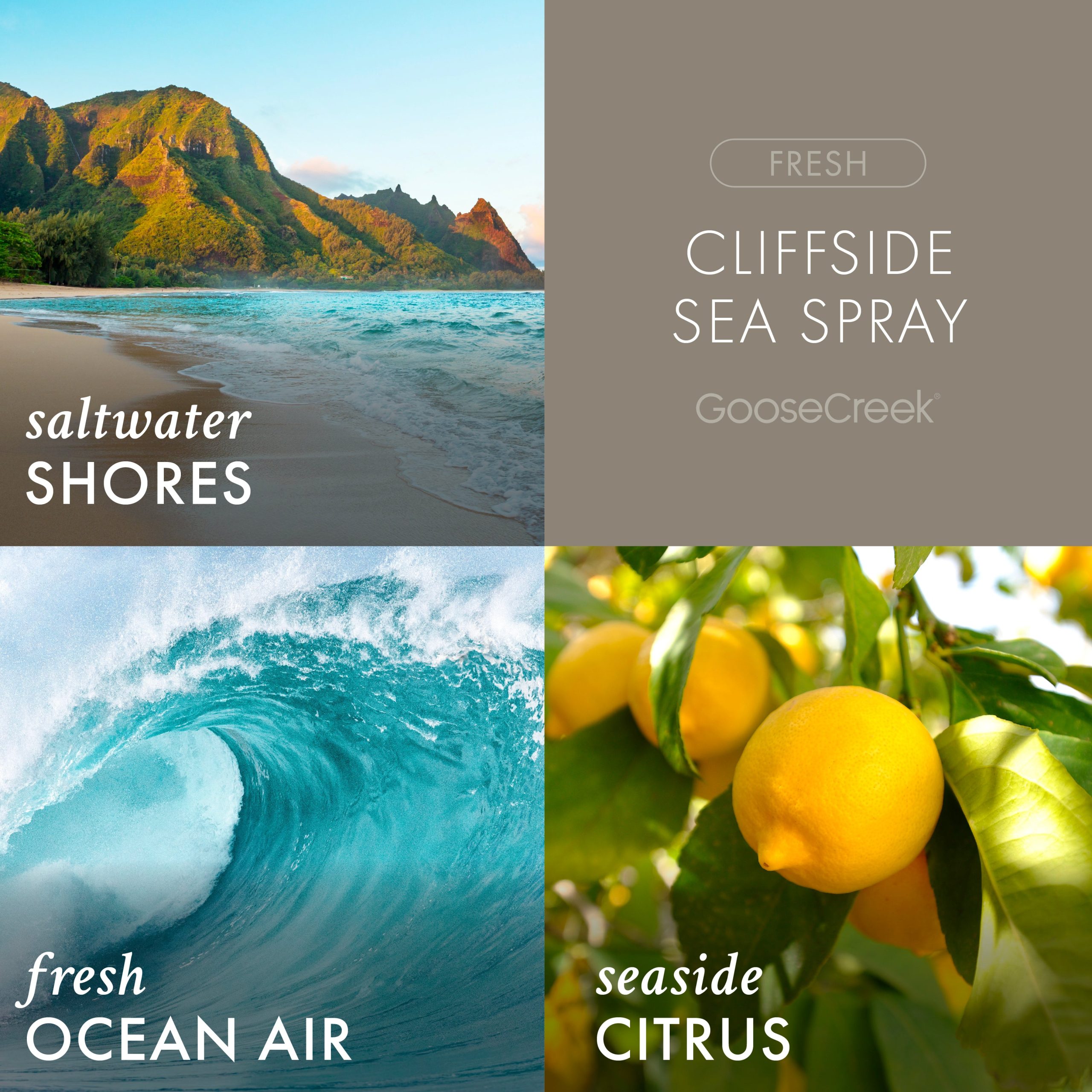 Cliffside Sea Spray Odor Eliminating 7oz Single Wick Candle - Image 2