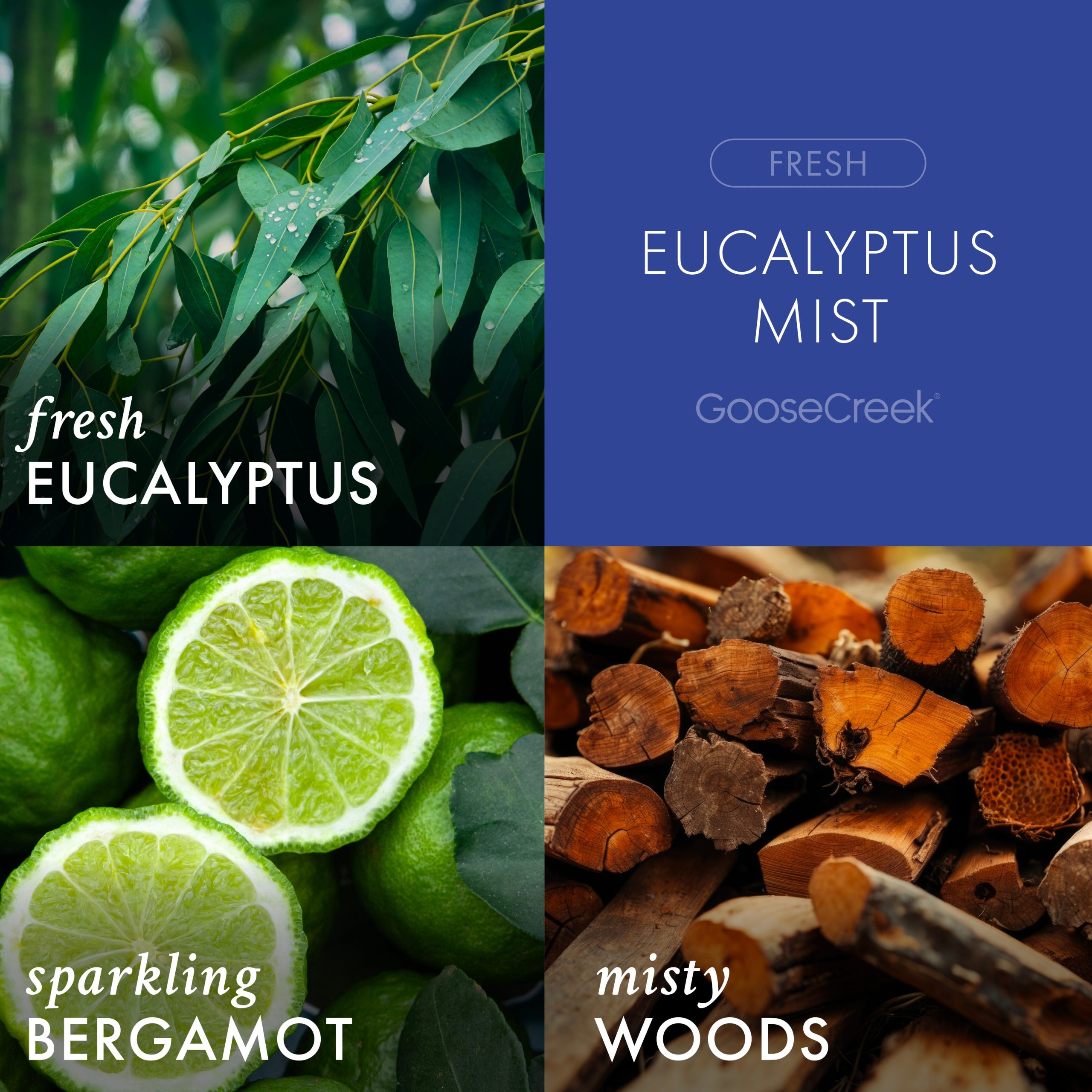 Eucalyptus Mist Odor Eliminating 7oz Single Wick Candle - Image 4