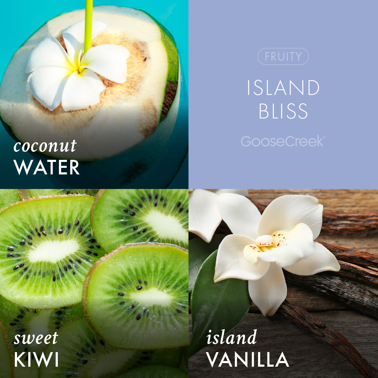 Island Bliss - Scented Plug-in Refill - Image 2
