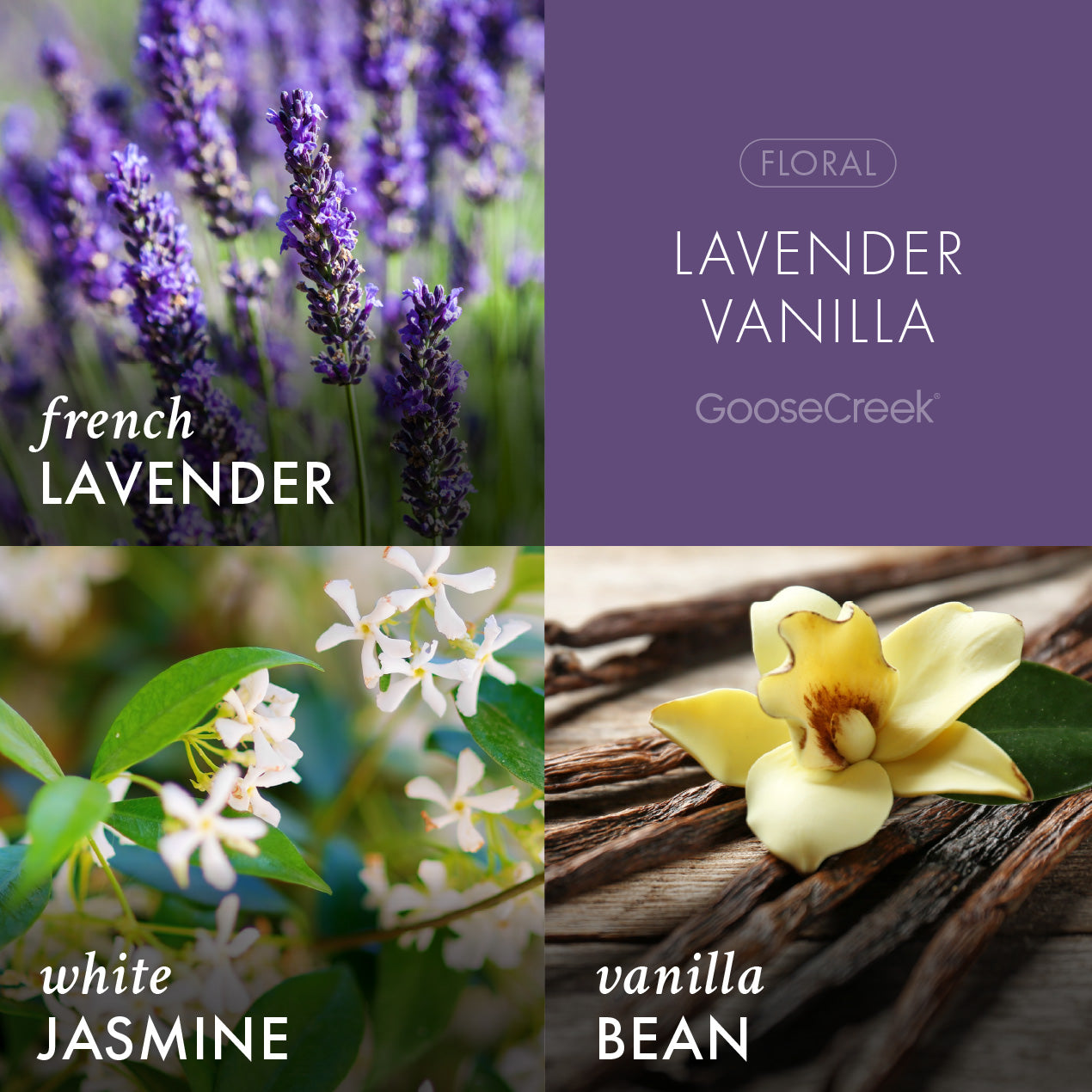 Lavender Vanilla Lush Foaming Hand Soap - Image 2