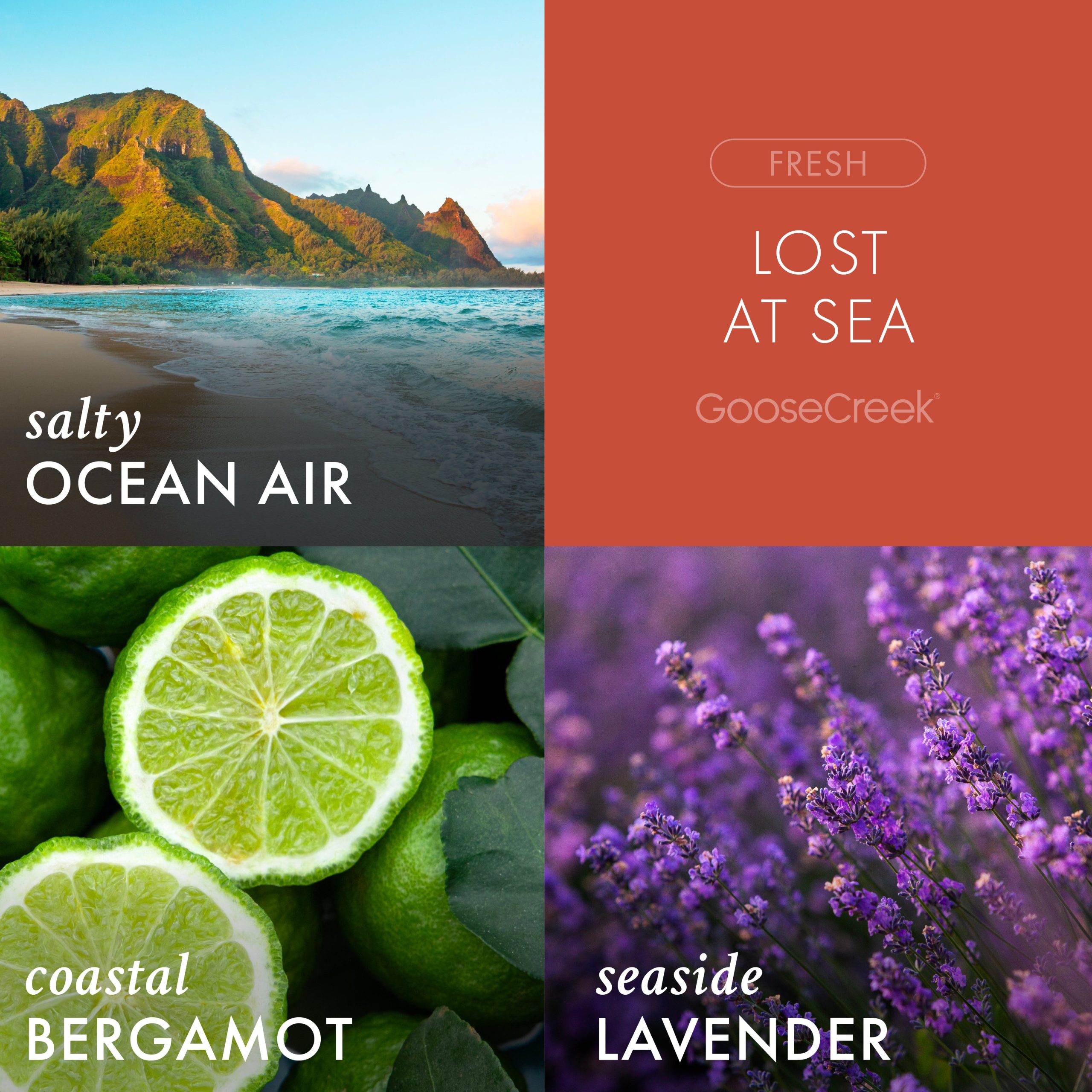 Lost at Sea Odor Eliminating Room Spray - Image 2