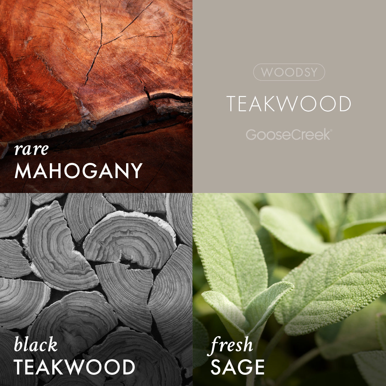 Teakwood Odor Eliminating Wax Melt - Image 2