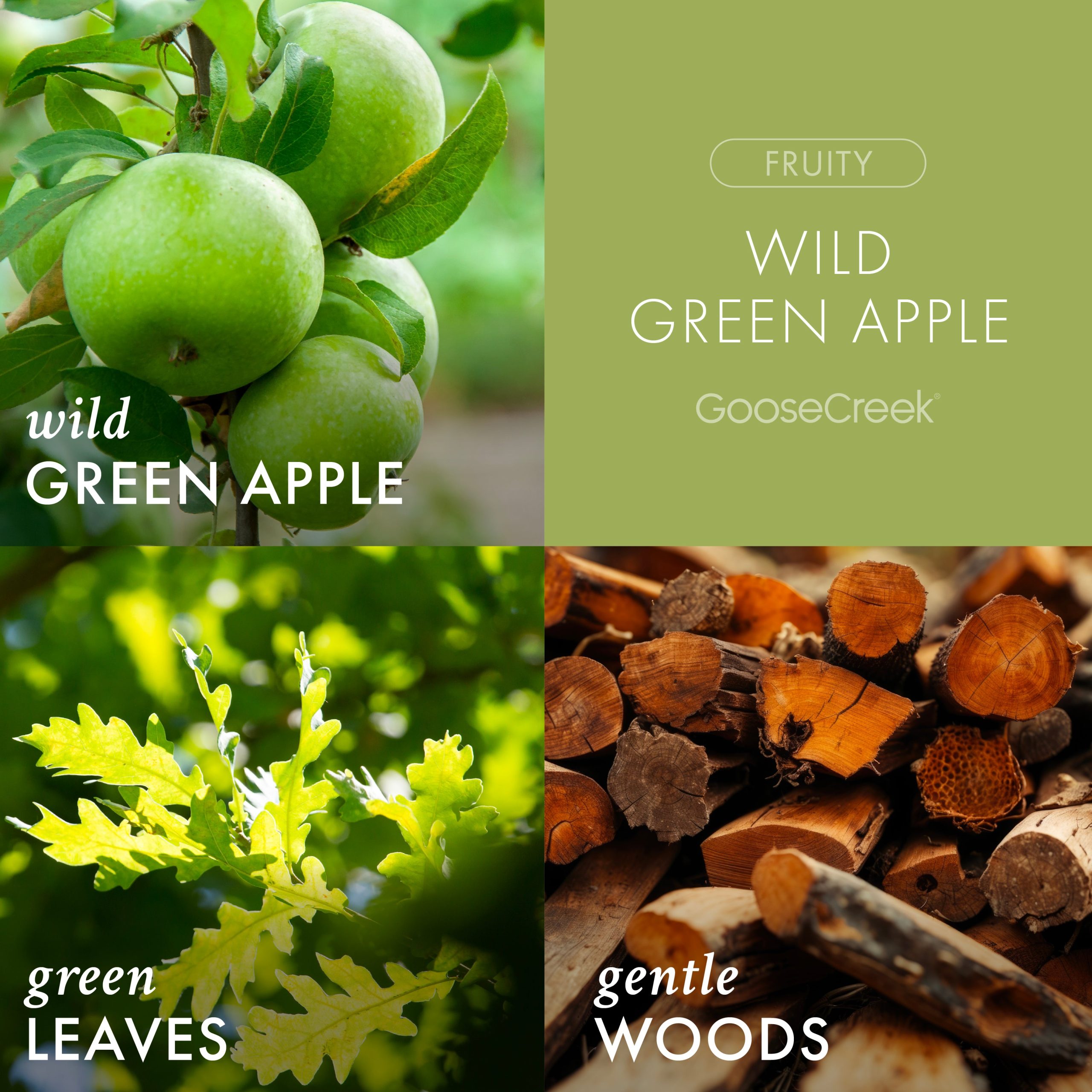 Wild Green Apple Odor Eliminating Plug-in Refill - Image 2